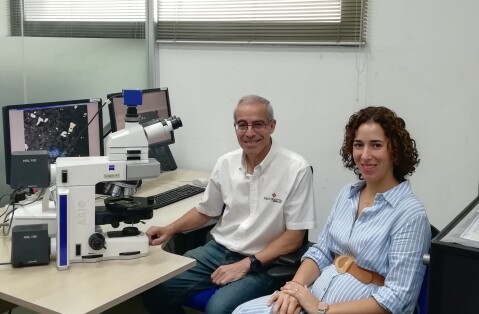 CLC team. Francisco S_nchez. Silvia Delgado. CLC team. Francisco S_nchez. Silvia Delgado.